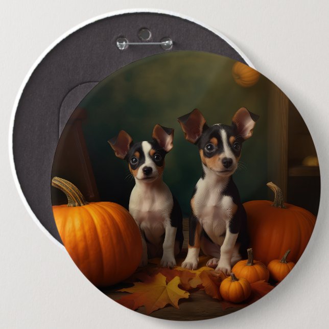 Rat Terrier Valp Höstglädje Pumpa Knapp (Framsida & baksida)