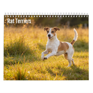 Rat Terriers 2027 Väggkalender Kalender