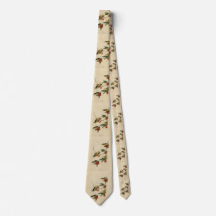 Rathbone (Gult) Warbler Audubon Birds of America Slips