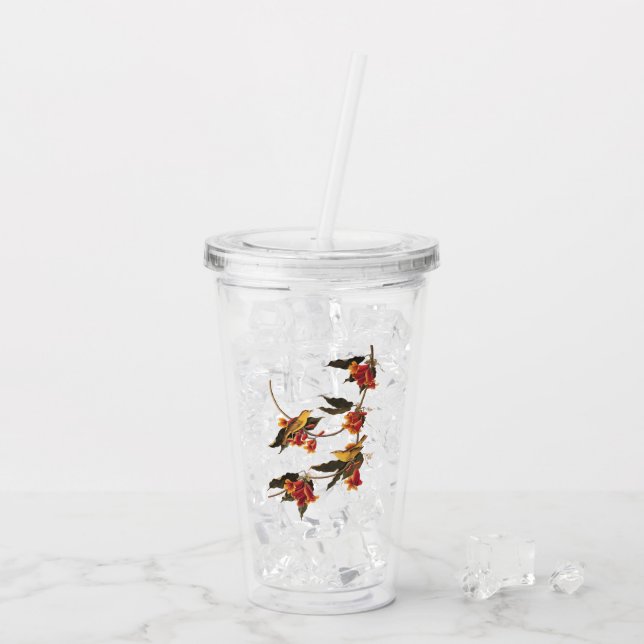 Rathbone's Warbler Sång Bird on Crossvine Take Away Mugg (Baksida Ice)