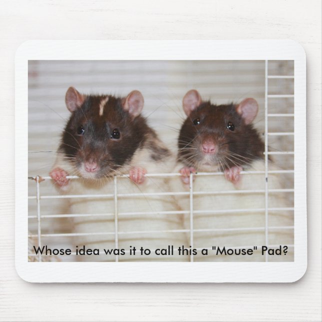 RatPad Musmatta (Framsidan)