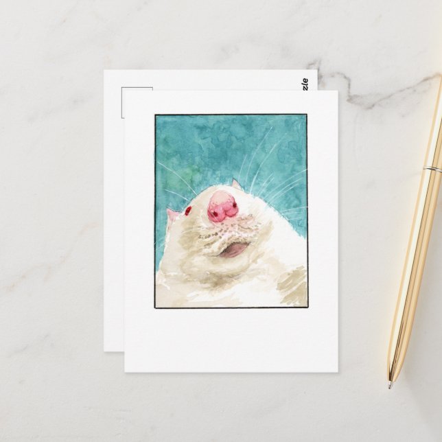 Rått Djur Selfie- DNM Postkort Vykort (Fram/Back In Situ)