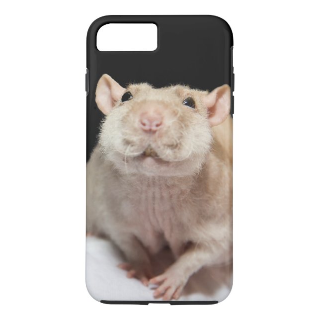 Rått mobilskal Case-Mate iPhone skal (Baksida)