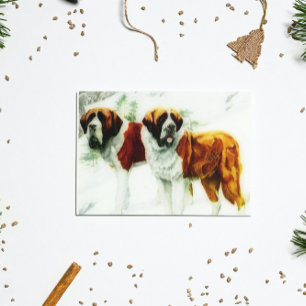 Rått och jämnt St Bernard - målning Vykort