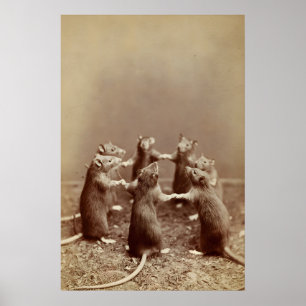 Rått Ritual Foto, Kuslig Vintage Djurtryck Poster