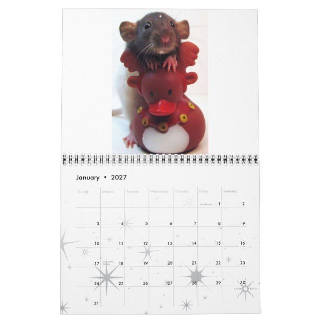 Råtta Bild 2012 Kalender (Jan 2027)