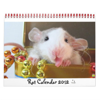 Råtta Bild 2012 Kalender