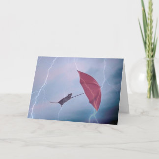 Råtta i stormkort kort