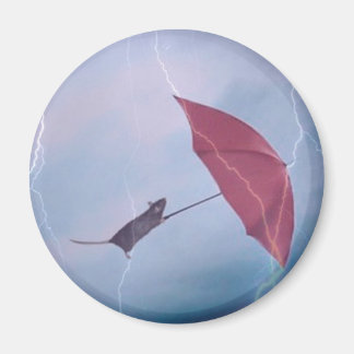 Råtta i stormmagnet magnet