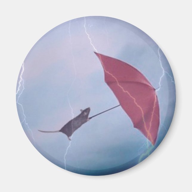 Råtta i stormmagnet magnet (Framsidan)