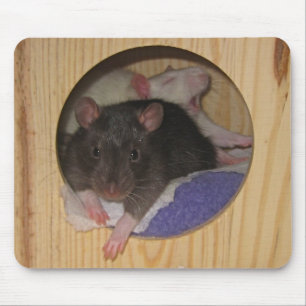 Råtta Mousepad Musmatta