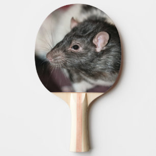 Råtta Pingisracket