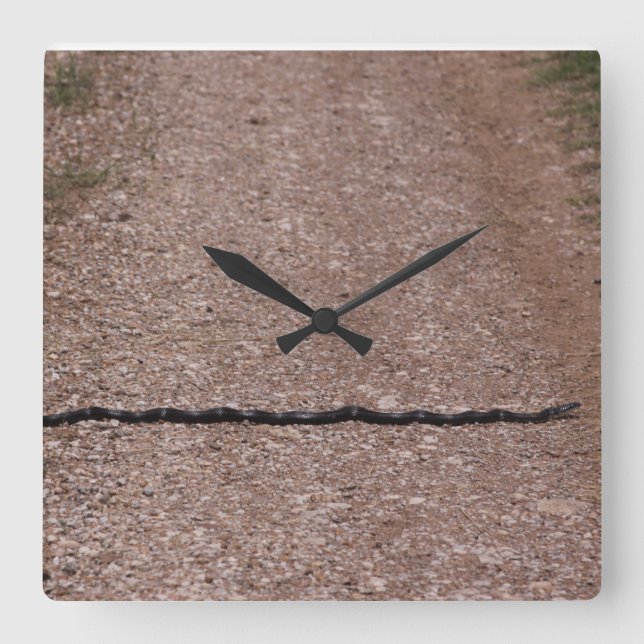 Råtta Snake Clock Fyrkantig Klocka (Framsida)