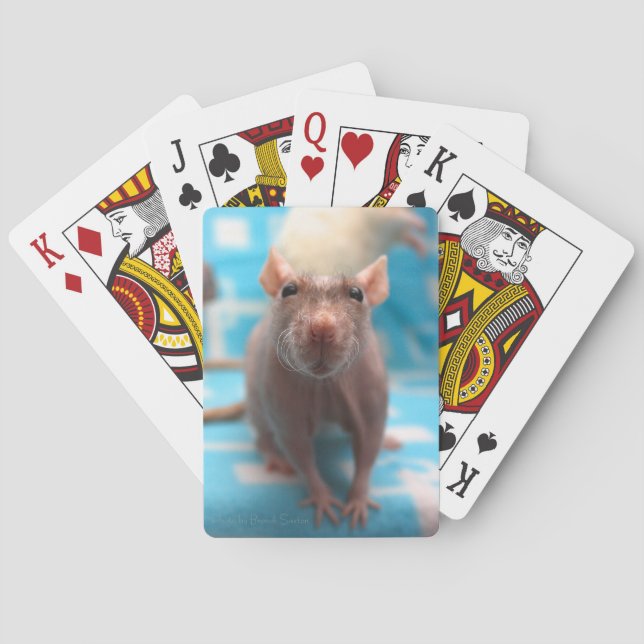 Råtta som leker kort spel kort (Baksidan)