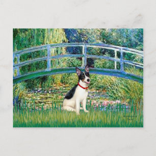 Råtta Terrier - Bridge Vykort