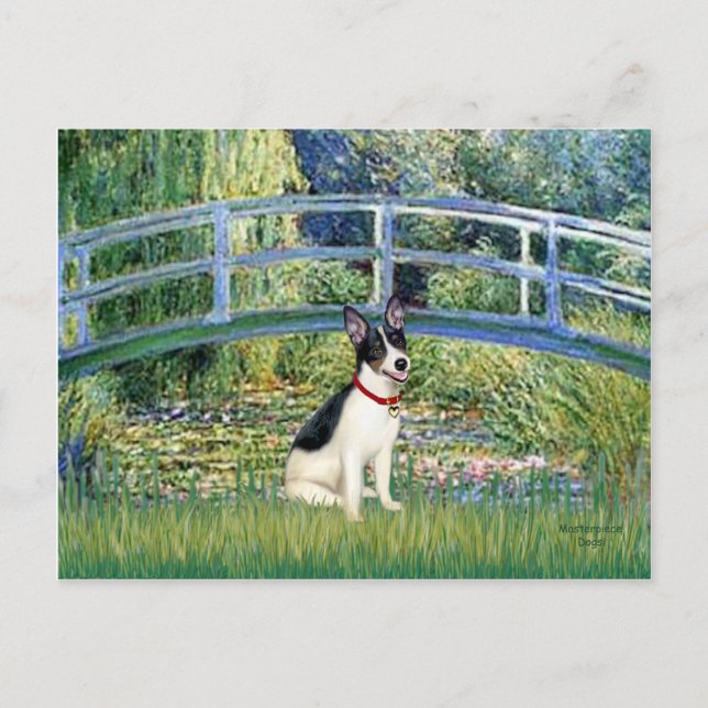 Råtta Terrier - Bridge Vykort (Framsida)
