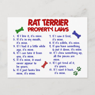 RÅTTA TERRIER Egendom-lagstiftning 2 Vykort