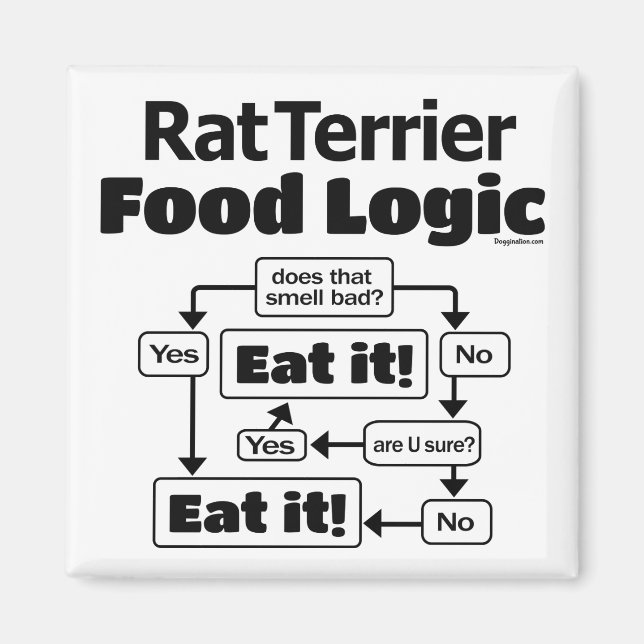Råtta Terrier Food Logic Magnet (Framsidan)