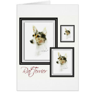 Råtta Terrier Hälsningskort