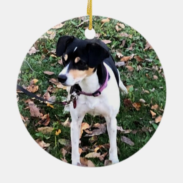 RÅTTA TERRIER HUND CHRISTMAS ORNAMENT (Baksidan)
