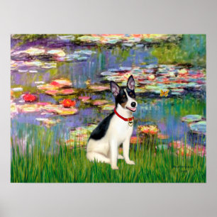 Råtta Terrier - Lilies 2 Poster