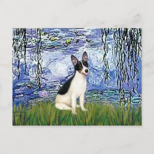 Råtta Terrier - Lilies 6 Vykort
