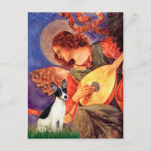 Råtta Terrier - Mandolin Angel Vykort