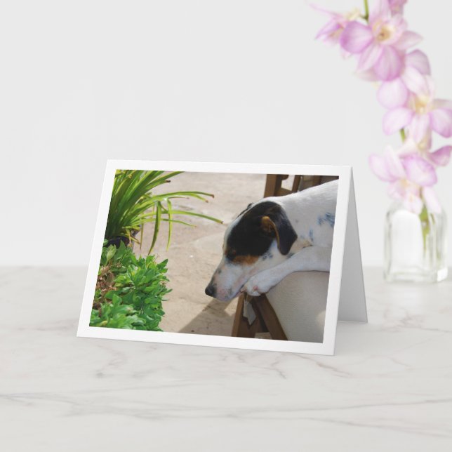Råtta Terrier Sleping Porträtt Kort (Orkide)