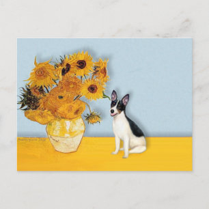 Råtta Terrier - Solblommor Vykort