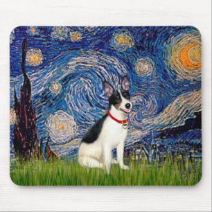 Råtta Terrier - Starry Natt Musmatta