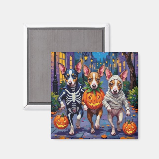 Råtta Terrier Trick eller Treating Halloween Costu Magnet (Front/Back)