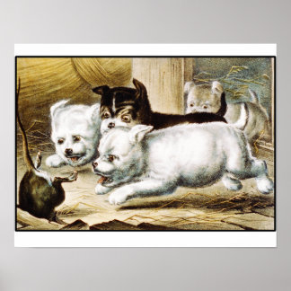 Råtta Terrier-valpar - Vintage Fine Art Poster