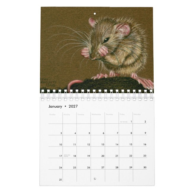 Råttakalender 2011 av Kathy Clemente Kalender (Jan 2027)