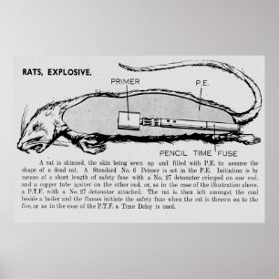 Råttan bombarderar, den beskriva katalogen av poster