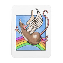 Råttängel Magnet