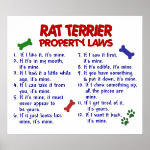 RÅTTATERRIER PL2 POSTER