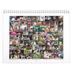 RåttaTerrierkalender Kalender