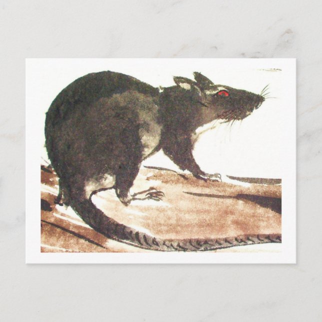 Ratte No. 01 * Rat * Ratten-Postkarten* Rat-Art-Po Vykort (Framsida)