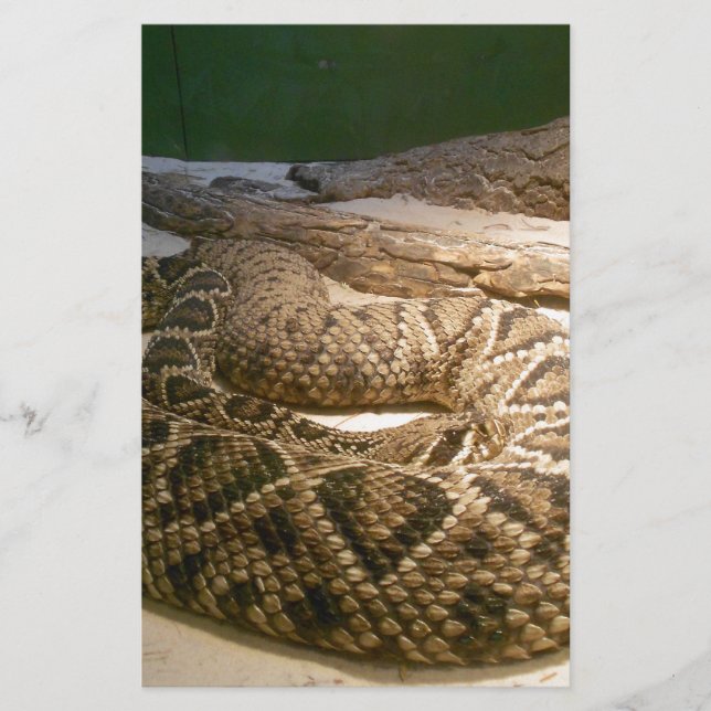 Rattle Snake (Framsida)