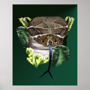Rattle Snake Ansikte Poster