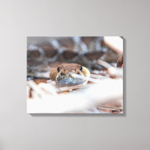 Rattle Snake Canvastryck