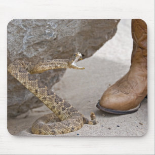 Rattle Snake Musmatta