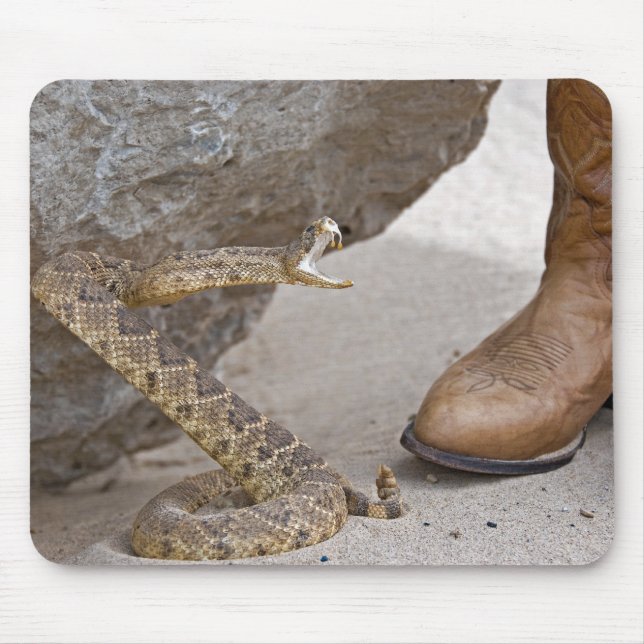 Rattle Snake Musmatta (Framsidan)