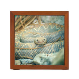 Rattlesnake
