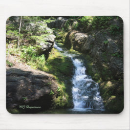 Rattlesnake Bassäng Mouse Pad Musmatta