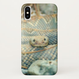 Rattlesnake