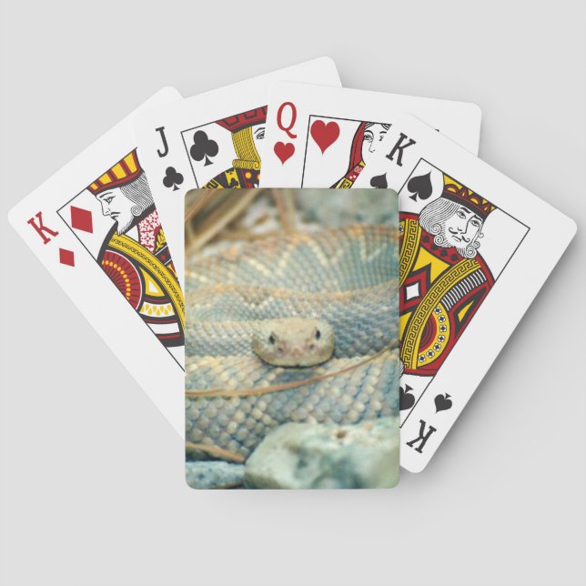 Rattlesnake Casinokort (Baksidan)