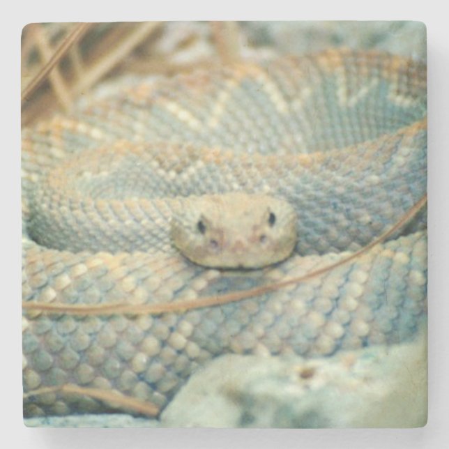 Rattlesnake Drink Underlägg (Framsidan)