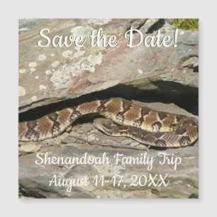 Rattlesnake i Shenandoah nationalpark