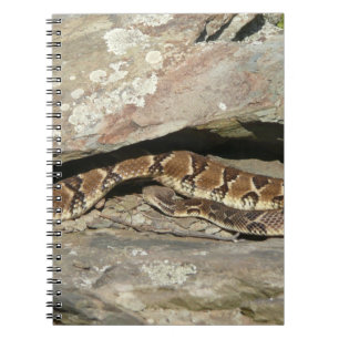 Rattlesnake i Shenandoah nationalpark Anteckningsbok Med Spiral